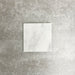 Einzelne Fayrouz White 15,2 × 15,2 cm Naturmarmorfliese mit getrommelter Oberfläche in sanften Weißtönen mit dezenter natürlicher Maserung, präsentiert vor einem neutralen, strukturierten Hintergrund in einer klaren Produktszene.
