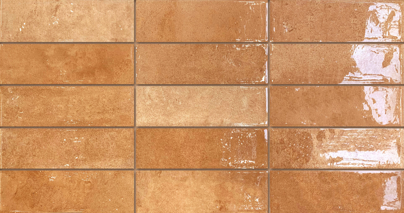 MUESTRA DE AZULEJOS CORTADOS Contrato Cabra Terracota Brillante Azulejos de Pared 31.6cm x 60cm